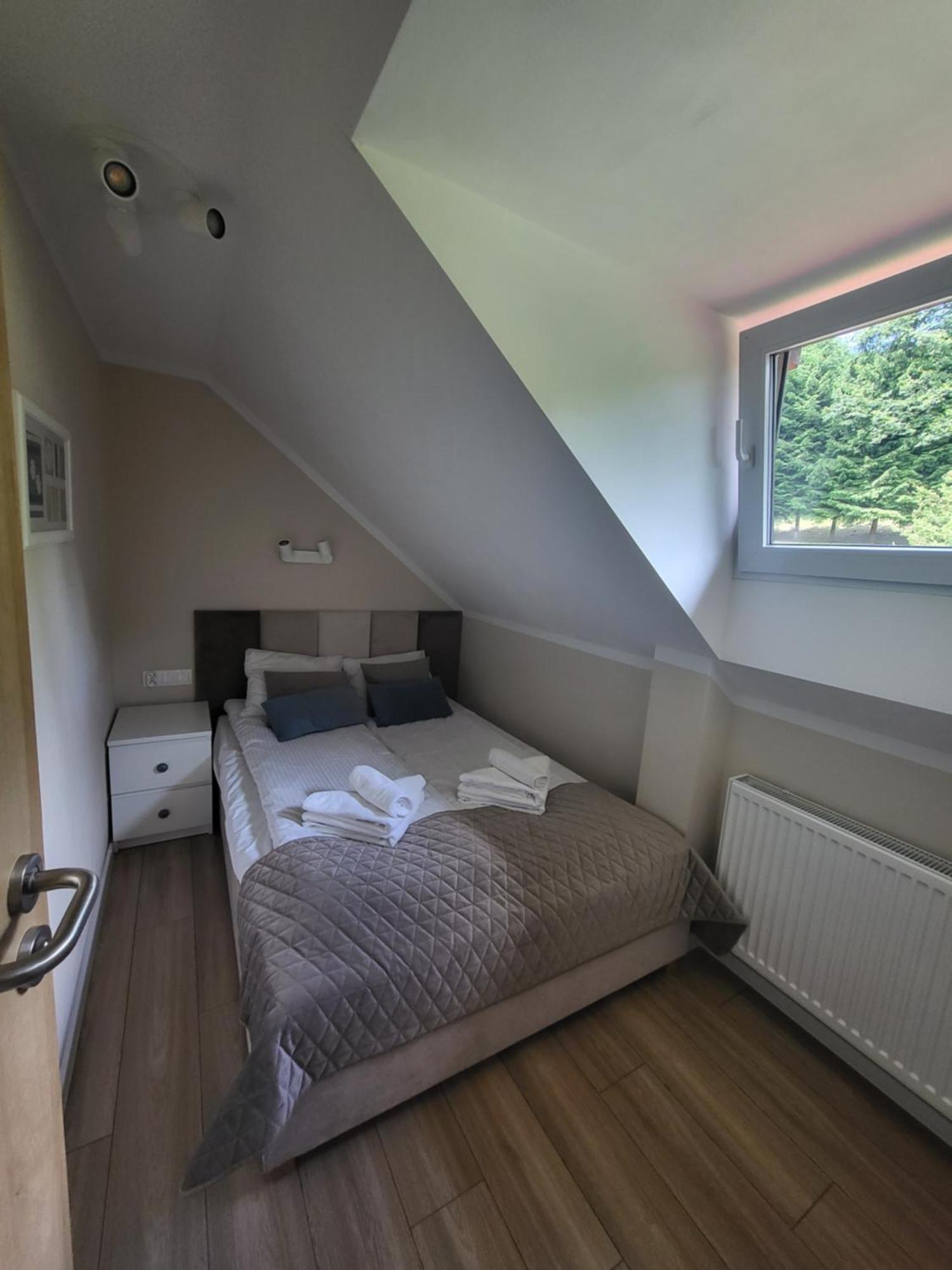 Apartamenty Willove Wzgorze Дужники Здрой Стая снимка
